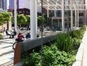 Director Park-Stormwater Planter