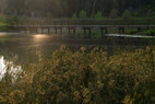 Duke-Pond-boardwalk