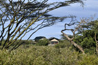 Eagle-View-elevated-tent