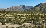 High Desert-Habitat