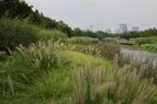 Houtan-Native Plants