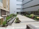 McKinley-Courtyard