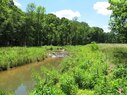 Meadow Creek-Riparian