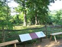 Monticello-Graveyard