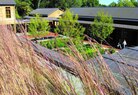Monticello- Green Roofs