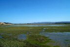 Napa-Wetlands