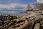 Olympic-Pocket Beach