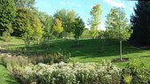 Regenstein-Rain Garden