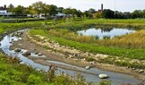 Ruth Mott-Creek and Pond