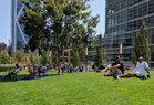 Salesforce-Park-meadow