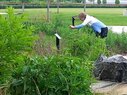 Sarah Goode-Documenting Planting