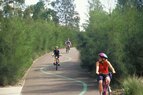 Sydney-Cyclists