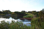 Sydney-Park-viaduct