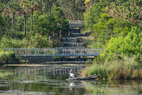 Sydney-Park-water-falls