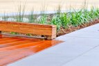 Taylor-Wood Path
