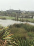 Te-Whariki-wetlands-flood