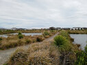 Te-Whariki-wetlands
