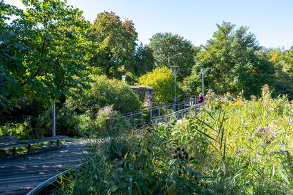 Muscota Marsh | Landscape Performance Series