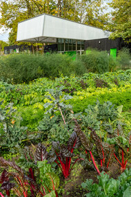 Rainier Beach Urban Farm and Wetlands | Landscape Performance Series