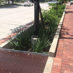 Bagby Street Reconstruction | Landscape Performance Series