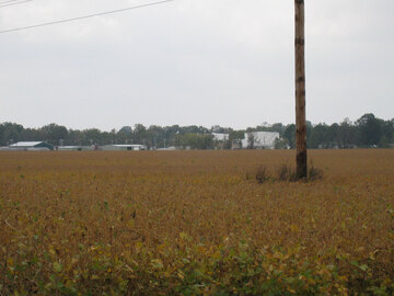 Owensboro_Before
