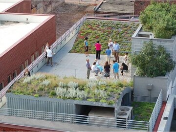 ASLA Green Roof-After