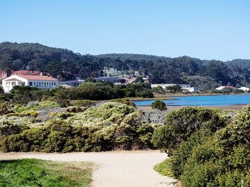 Crissy-Field-after