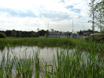 Hardscrabble-after wetland