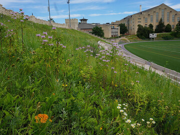 KSU-Memorial-after