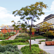 landscape project case study Bendigo-after