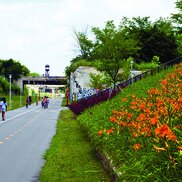 landscape project case study Dequindre-Cut-after