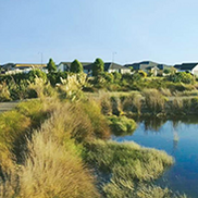 landscape project case study landscape project case study