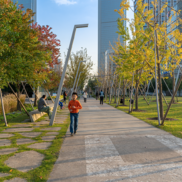 landscape project case study Xuhui-Runway-Park-after