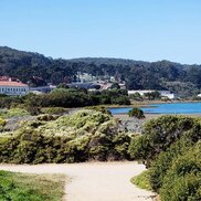 Crissy-Field-after