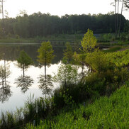 landscape project case study Duke-Pond-After