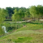 Tangshan-After
