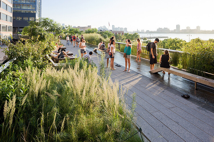 Introduction the High Line