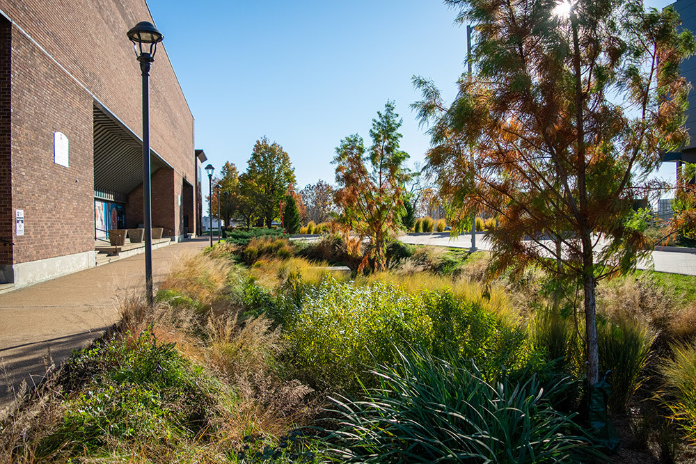 STLCC Forest Park Center for Nursing and Advanced Health Sciences Landscape Performance Series