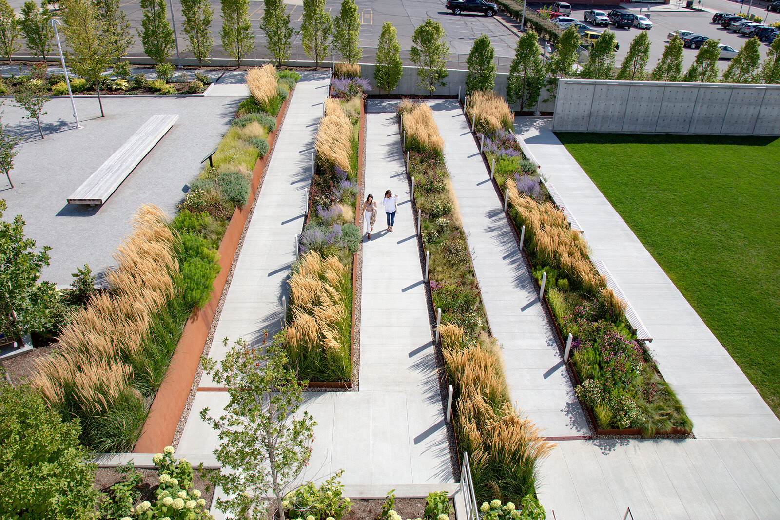 Bud and Susie Rogers Garden at the Akron Art Museum | Landscape