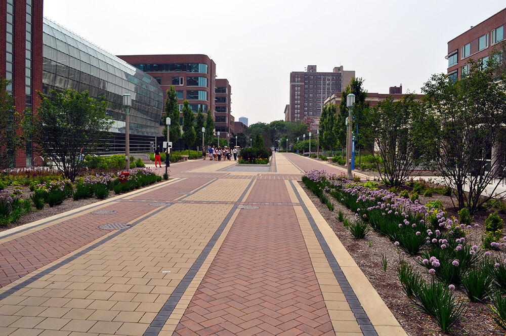 Loyola University Lake Shore Campus  Landscape Performance Series
