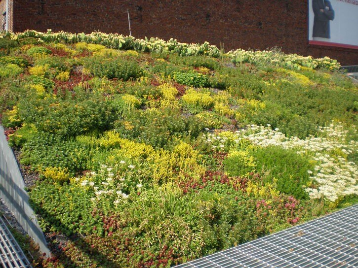 asla landscape architects near me asla landscape architects near me
