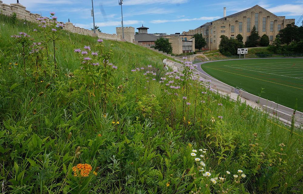 Veterans Memorial Coliseum - Case Study