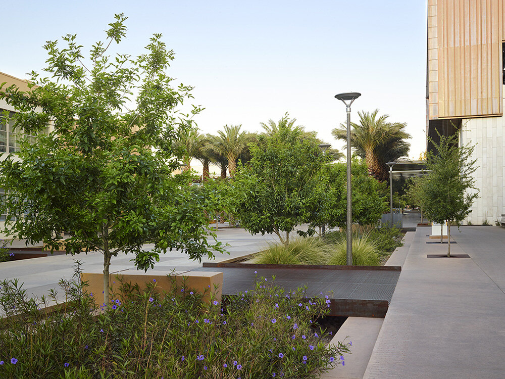Arizona State University Orange Mall Green Infrastructure Project