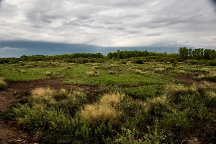Yuma East Wetlands, Phases 1 and 2 | Landscape Performance Series