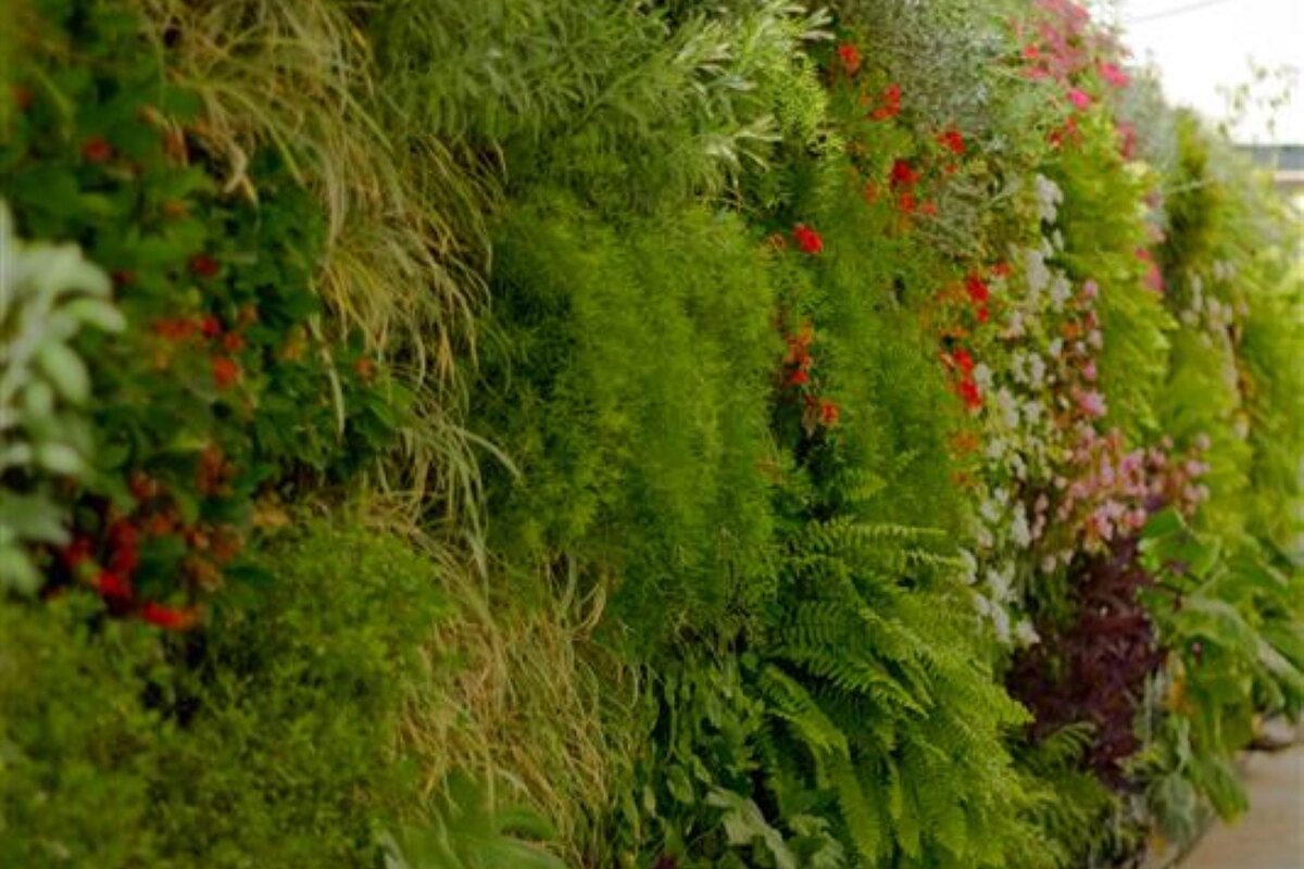 Green wall hospital media | Landscape Performance Series