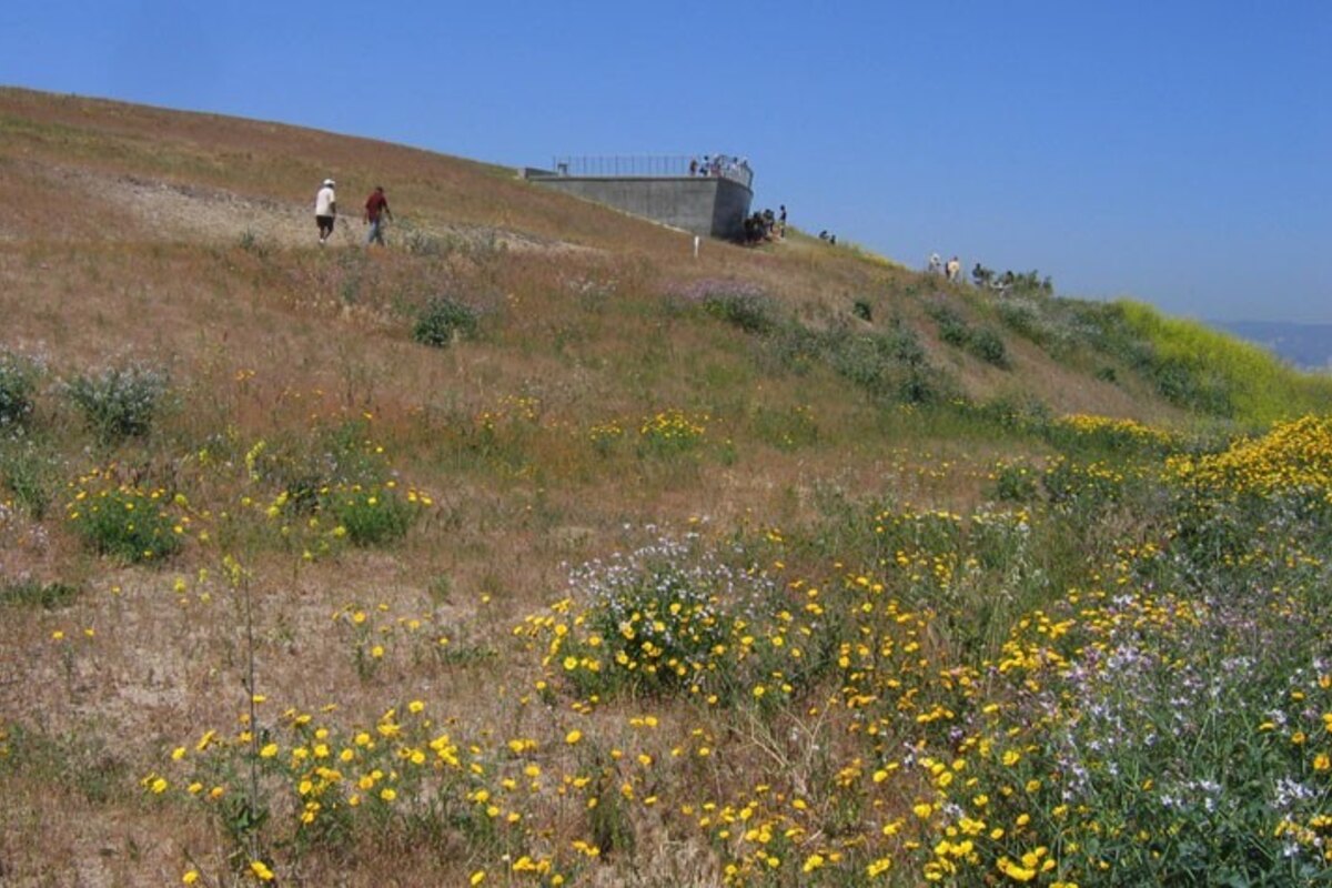 Baldwin Hills Scenic Overlook Landscape Performance Series