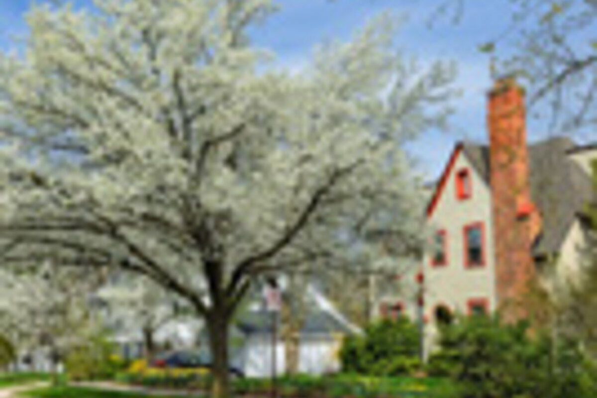 Portland Oregon street trees increase sales price decrease TOM