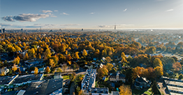 City-from-above
