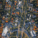 neighborhood-trees-aerial