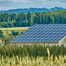 solar-array-pollinator